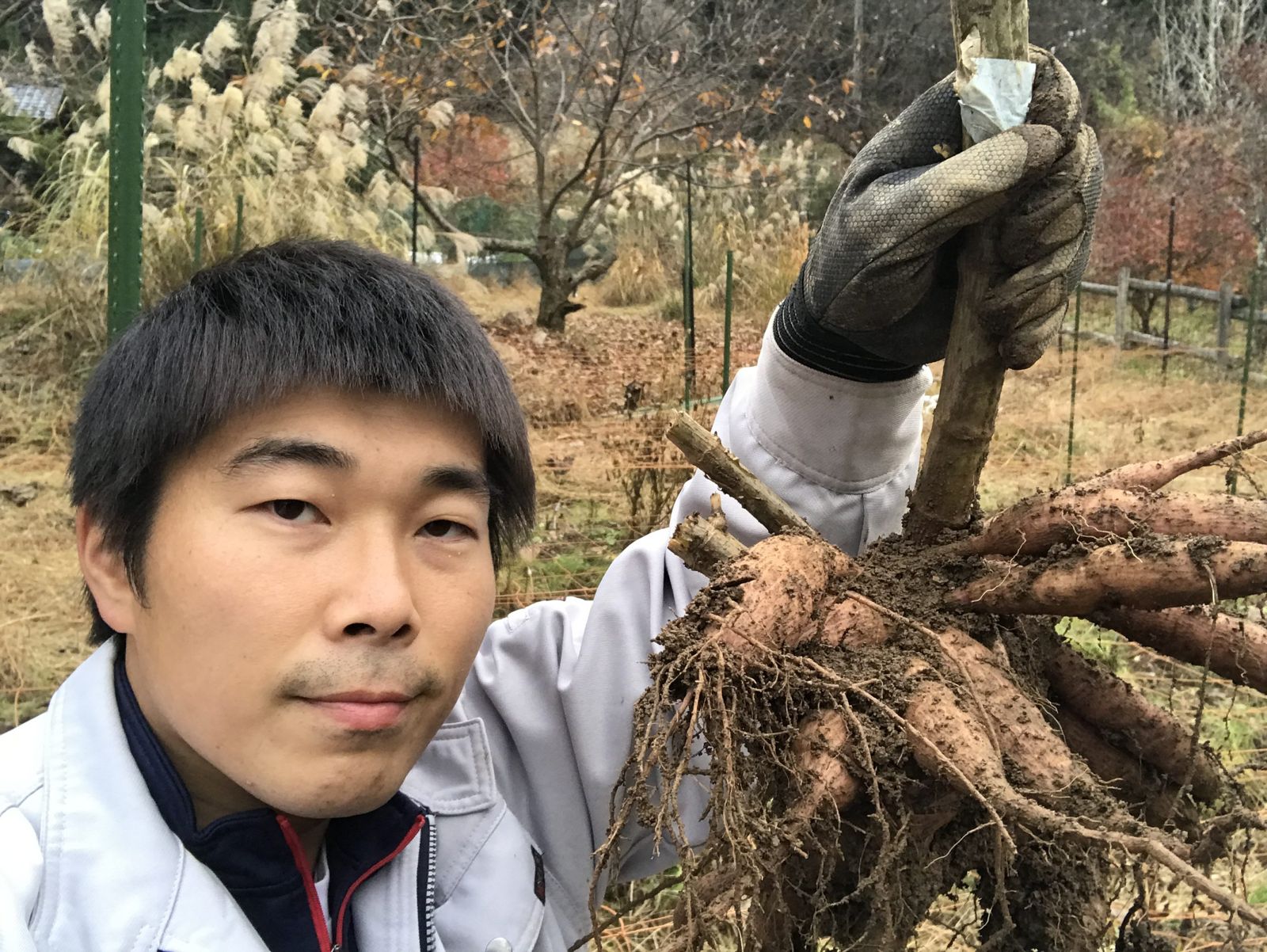 生産者 沢田朋輝